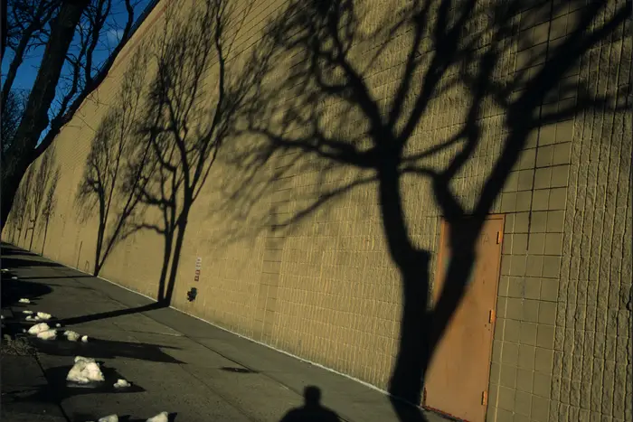 South Bronx shadows